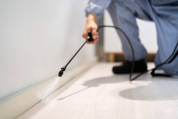 Licensed Fumigation Services service in Rosemead, CA - Nex Pest Control