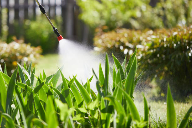 24/7 Emergency Fumigation Services experts in Rosemead, CA