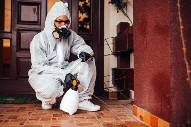 Reliable Fumigation Services contractor in Rosemead, CA by Nex Pest Control